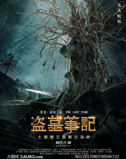 不动产权证证书编号是哪个图片